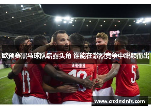 欧预赛黑马球队崭露头角 谁能在激烈竞争中脱颖而出