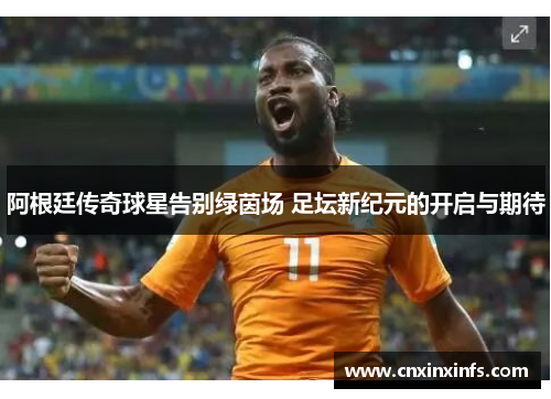 阿根廷传奇球星告别绿茵场 足坛新纪元的开启与期待